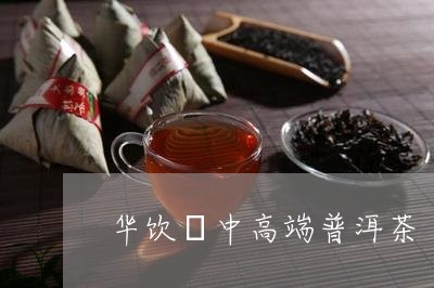 华饮號中高端普洱茶/2023112762705