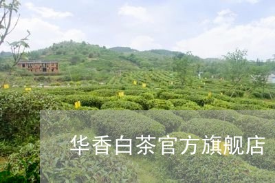 华香白茶官方旗舰店/2023071622694