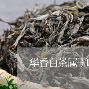 华香白茶属于哪类茶/2023121789372