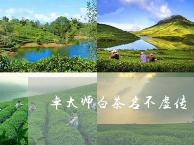 卓大师白茶名不虚传/2023121764706