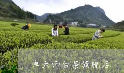 卓大师白茶旗舰店/2023061588562