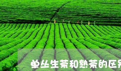 单丛生茶和熟茶的区别/2023092286470