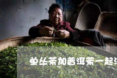 单丛茶加普洱茶一起泡/2023061558581