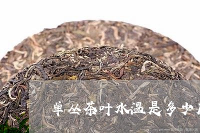 单丛茶叶水温是多少度/2023092306938