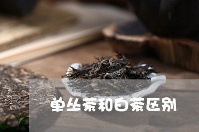 单丛茶和白茶区别/2023061528614