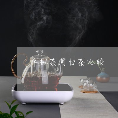 单枞茶同白茶比较/2023061587280