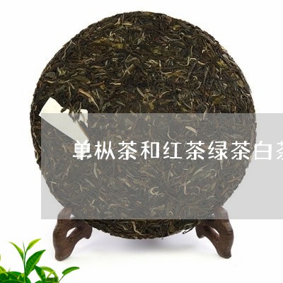 单枞茶和红茶绿茶白茶区别/2023070156140