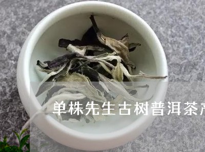 单株先生古树普洱茶产品定位/2023052724039