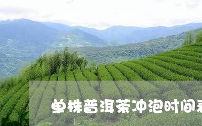 单株普洱茶冲泡时间表大全/2023082972728