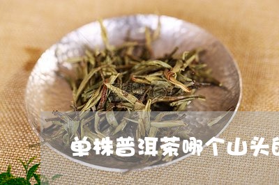 单株普洱茶哪个山头的/2023120621727