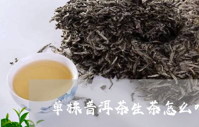 单株普洱茶生茶怎么喝/2023101702616