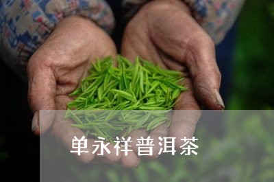 单永祥普洱茶/2023042525223