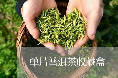 单片普洱茶收藏盒/2023120419405