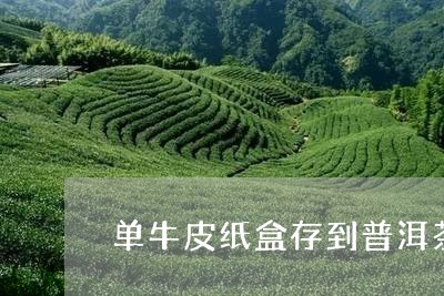 单牛皮纸盒存到普洱茶/2023072328260