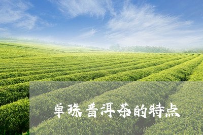 单珠普洱茶的特点/2023120405847