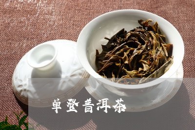 单登普洱茶/2023112592604