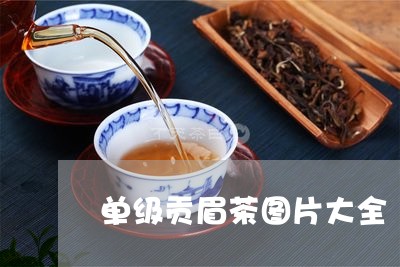 单级贡眉茶图片大全/2023071540515