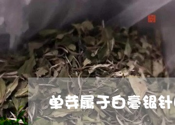 单芽属于白毫银针吗/2023120660926