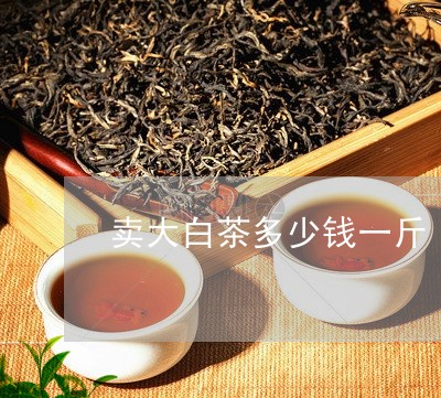 卖大白茶多少钱一斤/2023121737059