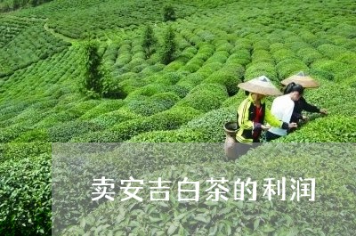 卖安吉白茶的利润/2023061516059