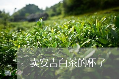 卖安吉白茶的杯子/2023061558572