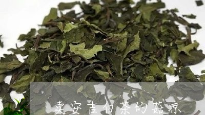 卖安吉白茶的菇凉/2023061548304