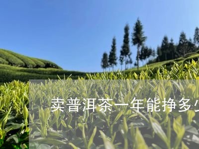 卖普洱茶一年能挣多少钱/2023112812693