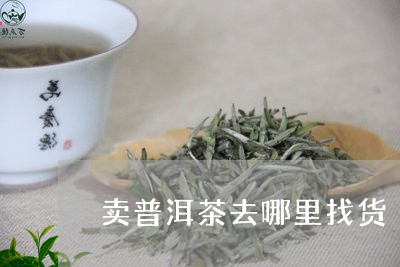 卖普洱茶去哪里找货/2023082969493