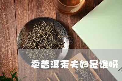 卖普洱茶夫妇是谁呀/2023082965826