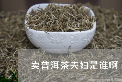 卖普洱茶夫妇是谁啊/2023082900694