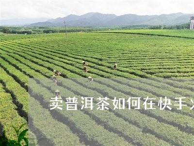 卖普洱茶如何在快手火/2023072421614