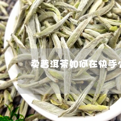 卖普洱茶如何在快手火/2023092829603