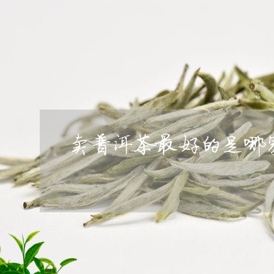 卖普洱茶最好的是哪家/2023120628382