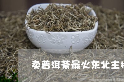 卖普洱茶最火东北主播/2023120693837