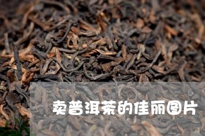 卖普洱茶的佳丽图片/2023081639606