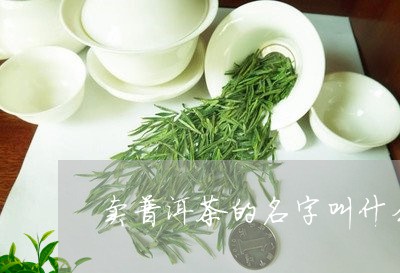 卖普洱茶的名字叫什么/2023110571793