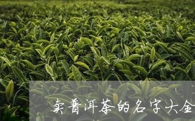 卖普洱茶的名字大全/2023121567183