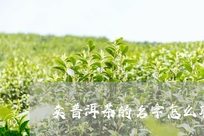 卖普洱茶的名字怎么取好/2023081408573