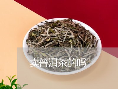 卖普洱茶的吗/2023042516353