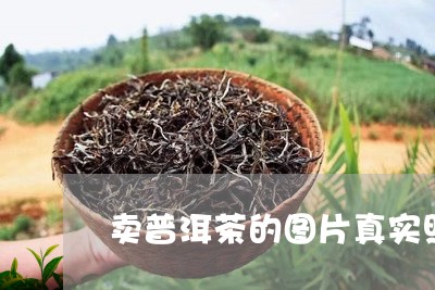 卖普洱茶的图片真实照片大全/2023110572714