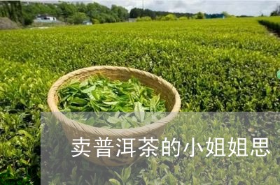 卖普洱茶的小姐姐思/2023120762736