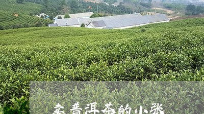 卖普洱茶的小张/2023081521504