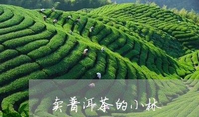 卖普洱茶的小林/2023120399370