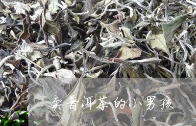 卖普洱茶的小男孩/2023110584167