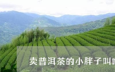 卖普洱茶的小胖子叫啥了/2023082984816