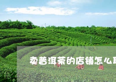 卖普洱茶的店铺怎么取名/2023110194268