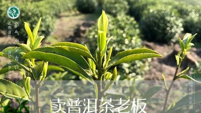 卖普洱茶老板/2023042687807