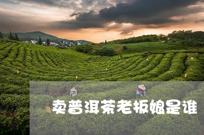 卖普洱茶老板娘是谁/2023101770837