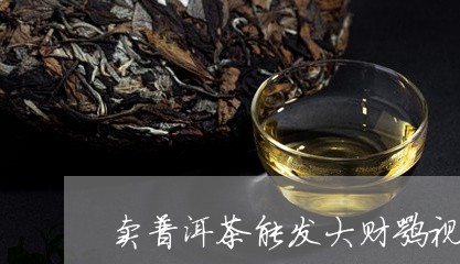 卖普洱茶能发大财嘛视频/2023082984836