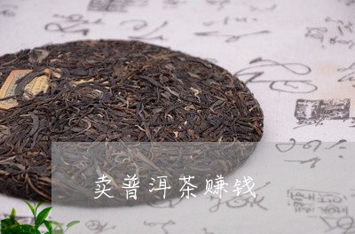 卖普洱茶赚钱/2023042780110